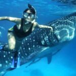 Private Tour: Oslob Cebu Whale Shark Experience - How the Tour Fits into Your Cebu Itinerary