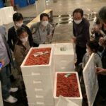 Private Tour Shirakawago & Takayama(Full-day) - The Sum Up: Is This Tour Right for You?