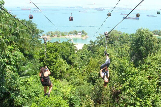 Private Tour: Singapore Nature And Adventure Tour - An In-Depth Look at the Singapore Nature And Adventure Tour