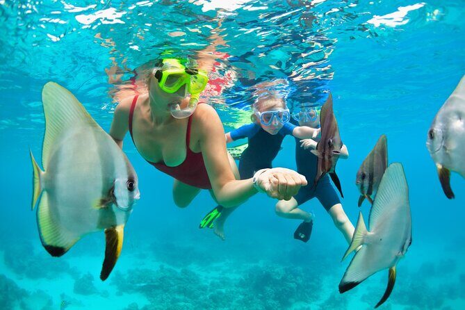 Private Tour Snorkeling to Explore Hidden Coral Spots - What’s Included and What’s Not