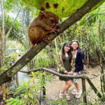 Private Tour to Chocolate Hills, Tarsiers, & River Lunch in Bohol - Authentic Experiences and Honest Insights