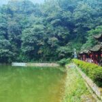 Private Tour to Dujiangyan & Mt Qingcheng from Chengdu - Authentic Experiences and Hidden Gems