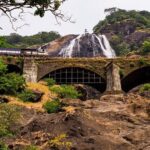 Private Tour to Goa and Dudhsagar Waterfalls with Lunch - Who Should Consider This Tour?