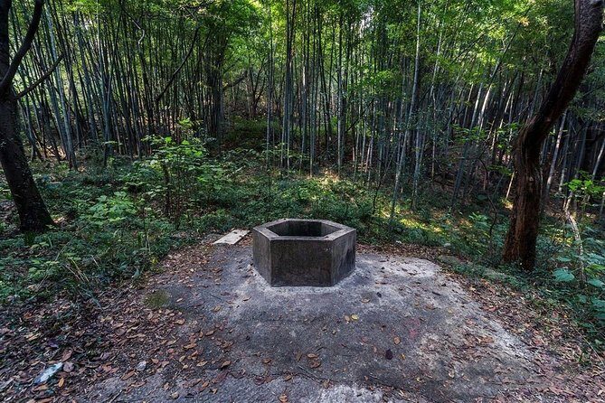 Private Tour to Hike on Qionglong Mountain with Vegetarian Noodles & Tea Tasting - What to Bring
