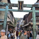 Private Tour to Kamakura and Enoshima in Spanish - Who Will Love This Tour?