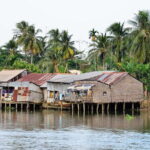 Private Tour to Mekong Delta Day Tours Vietnam My Tho and Ben Tre - Who Is This Tour Best For?