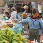 Private Tour to Morning Market, Villages and Kuang Si Waterfall - Who Will Love This Tour?