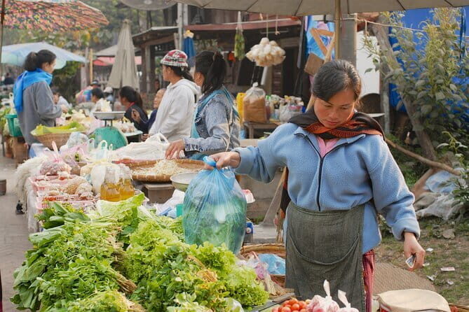 Private Tour to Morning Market, Villages and Kuang Si Waterfall - Who Will Love This Tour?