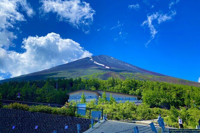 Private Tour to Mt Fuji, Lake Kawaguchi with Limousine and Driver - What the Reviews Say