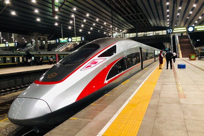 Private Tour to Mutianyu Great Wall from Beijing by Bullet Train - Who This Tour Is Perfect For