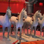 Private tour to Samll Terroctta army and Xi'an city tour - Authentic Insights from Other Travelers