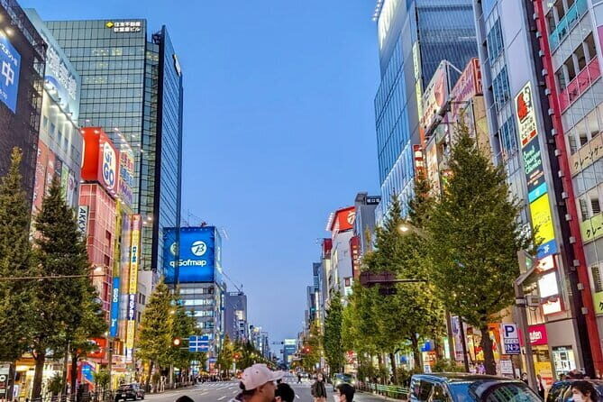 Private tour Tokyo Otaku visit places on anime and manga - Starting Point: Akihabara – The Heart of Otaku Culture