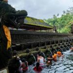 Private Tour Ubud - Best of Ubud with All Inclusive - FAQ