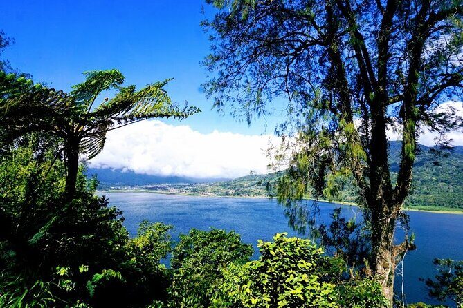 Private Tours Bedugul And Alas Kedaton Monkey Forest - Considerations and Tips