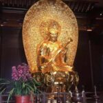 Private Tour:Shanghai Museum, Yu Garden, the Bund+Dinner in Oriental Pearl Tower - What Do Travelers Say? Insights from Reviews