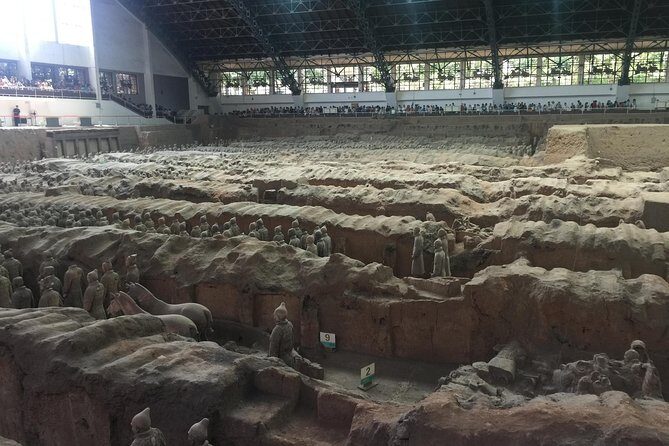 Private Tour:Terracotta Warriors&City Wall and Muslim Quarter - Why Choose This Tour?