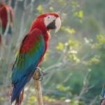 Private Transfer between Nanjing Jinniuhu Wild Animal Park and City Hotels - Who Should Consider This Experience?