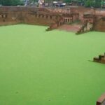 Private Transfer: Delhi to Agra via Vrindavan & Mathura - Analyzing the Value