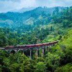 Private Transfer from Avukana to Sri Lanka Colombo (CMB) Airport - The Transfer Itself: Step-by-Step Breakdown