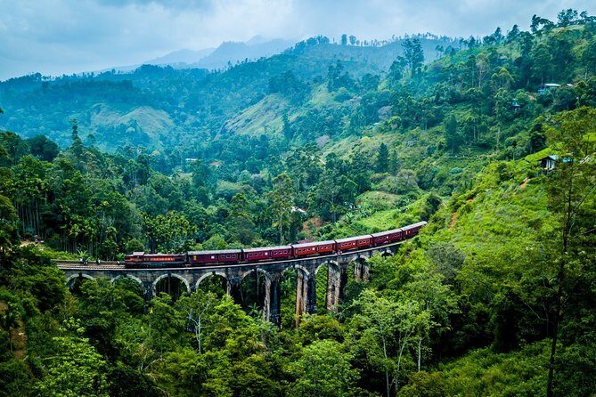 Private Transfer from Avukana to Sri Lanka Colombo (CMB) Airport - The Transfer Itself: Step-by-Step Breakdown