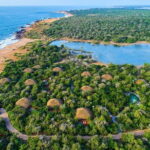 Private Transfer from Digana to Sri Lanka Colombo Airport (CMB) - The Value of This Service
