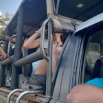 Private Transfer from Ella to Yala National Park - Why Choose This Transfer?
