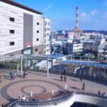 Private Transfer from Haneda Airport to Hachik City, Japan - Why Choose This Transfer?