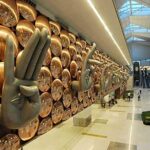 Private Transfer from Hotel to Delhi Airport - The Vehicle Experience