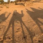 Private Transfer From Jaisalmer To Sam Sand Dunes - The Value of This Service