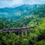 Private Transfer from Mattala Sri Lanka (HRI) Airport to Mattala City - Practical Tips for Travelers