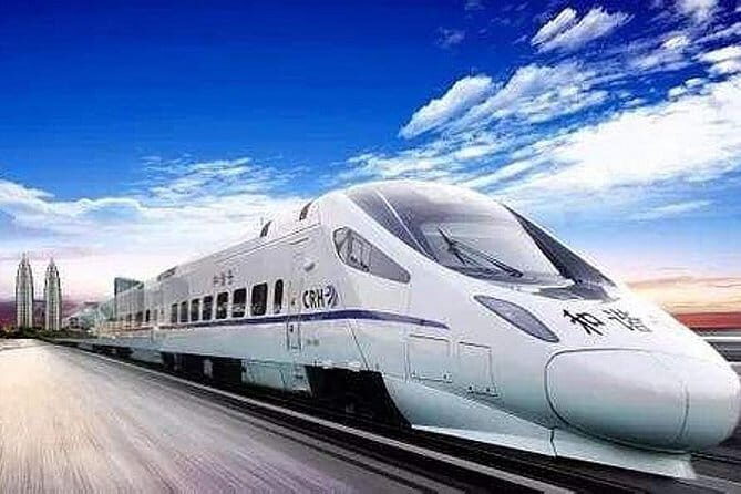 Private Transfer from Shanghai Disneyland to Shanghai Hongqiao Railway Station - Why Choose This Transfer?
