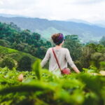Private Transfer : National Park Kuala Tahan to Cameron Highlands - Value for Money