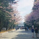 Private Transfer New Chitose Airport to Hokkaido Attractions - A Close Look at the Experience