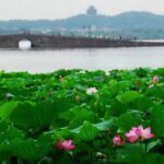 Private Transfer to Hangzhou City from Shanghai Pudong Airport - Who is This Transfer Best For?