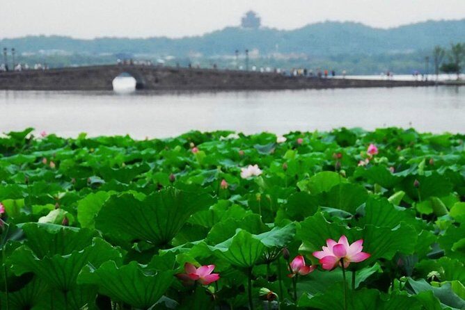 Private Transfer to Hangzhou City from Shanghai Pudong Airport - Who is This Transfer Best For?