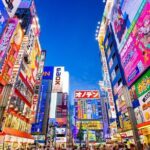 Private Transfer: Tokyo to Haneda Airport HND in Luxury Van - Meeting & Greeting
