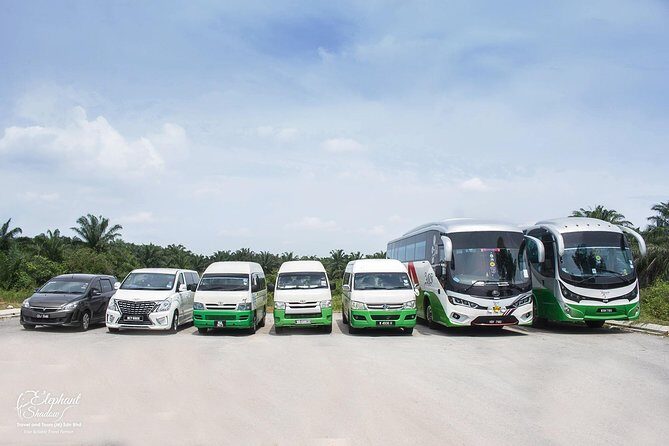 Private transfers from Kuala Lumpur International Airport to your Hotel - What You Can Expect From This Transfer Service