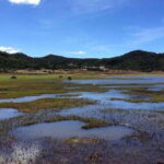 Private trekking tour to Wenhai lake from Lijiang half day service - What Travelers Say