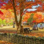 Private Trip to Nami Island and Ski Resort - Authentic Insights from Travelers