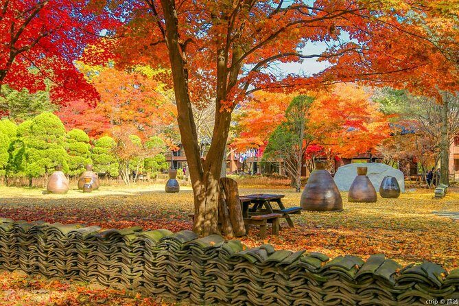 Private Trip to Nami Island and Ski Resort - Authentic Insights from Travelers
