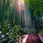 Private Two-Day Shu'nan Bamboo Forest with Farmhouse Stay - Who Is This Tour Best For?