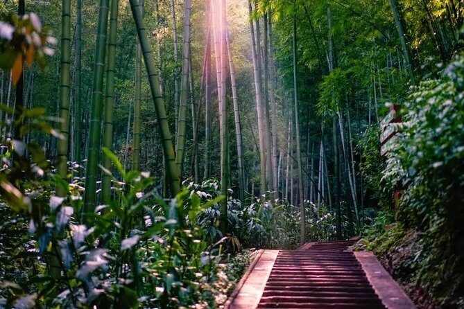 Private Two-Day Shu'nan Bamboo Forest with Farmhouse Stay - Who Is This Tour Best For?