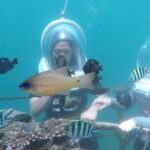 Private Underwater Walking Experience in Nusa Dua - Authentic Reviews and Insights