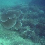 Private Undiscovered 3 Gili Islands Tour - Transport, Guides, and Logistics