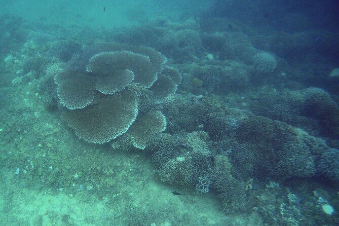 Private Undiscovered 3 Gili Islands Tour - Transport, Guides, and Logistics