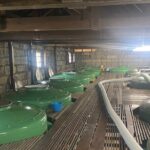 Private Walking and Wine Tasting Sake Brewery Tour in Ibaraki - Final Thoughts