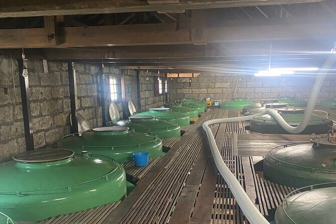 Private Walking and Wine Tasting Sake Brewery Tour in Ibaraki - Final Thoughts