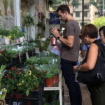 Private Walking Tour: Hong Kong Local Markets Hopper - Practical Details and What You Can Expect