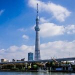Private Walking Tour of Tokyo with a water bus ride - Who Should Consider This Tour?