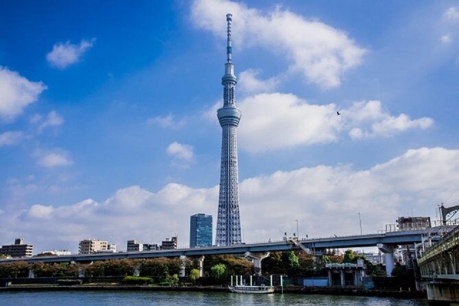 Private Walking Tour of Tokyo with a water bus ride - Who Should Consider This Tour?